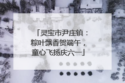 灵宝市尹庄镇：粽叶飘香贺端午，童心飞扬庆六一