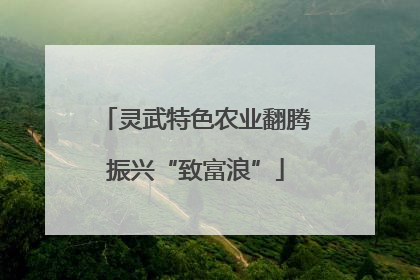 灵武特色农业翻腾振兴“致富浪”