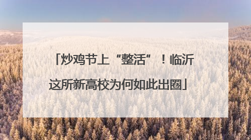 炒鸡节上“整活”！临沂这所新高校为何如此出圈