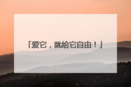 爱它，就给它自由！
