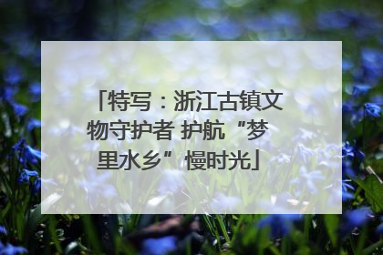 特写：浙江古镇文物守护者 护航“梦里水乡”慢时光