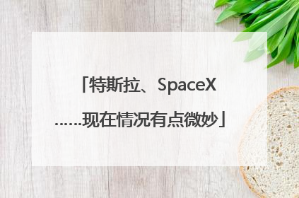 特斯拉、SpaceX……现在情况有点微妙