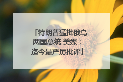 特朗普猛批俄乌两国总统 美媒：迄今最严厉批评