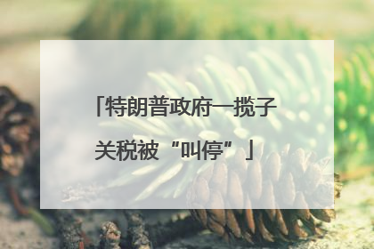 特朗普政府一揽子关税被“叫停”