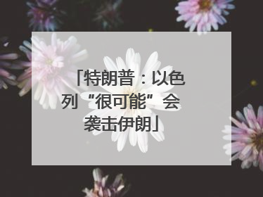 特朗普：以色列“很可能”会袭击伊朗