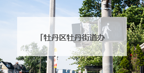 牡丹区牡丹街道办事处社区卫生服务中心前往丁堂小学开展“四送四进四提升”及无烟日宣传活动