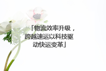 物流效率升级，跨越速运以科技驱动快运变革