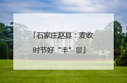 石家庄赵县：麦收时节好“丰”景