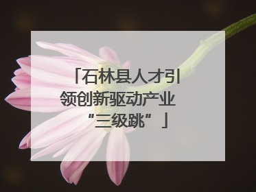 石林县人才引领创新驱动产业“三级跳”