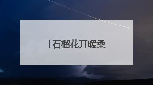 石榴花开暖桑榆——记利津县养老服务协会负责人、民族团结践行者魏喜凤