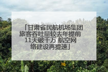 甘肃省民航机场集团旅客吞吐量较去年提前11天破千万 航空网络建设再提速