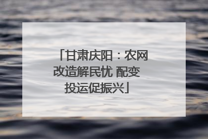 甘肃庆阳：农网改造解民忧 配变投运促振兴