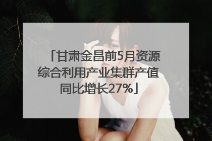 甘肃金昌前5月资源综合利用产业集群产值同比增长27%