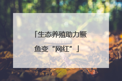 生态养殖助力鳜鱼变“网红”