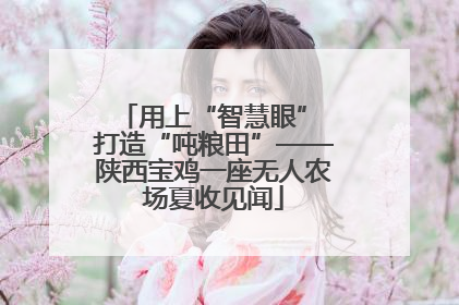 用上“智慧眼” 打造“吨粮田”——陕西宝鸡一座无人农场夏收见闻