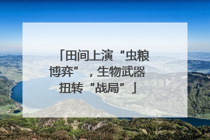 田间上演“虫粮博弈”，生物武器扭转“战局”