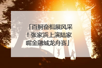 百舸奋楫展风采！张家浜上演陆家嘴金融城龙舟赛
