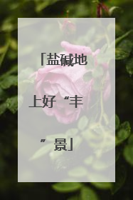 盐碱地上好“丰”景