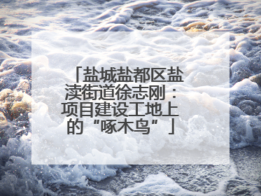 盐城盐都区盐渎街道徐志刚：项目建设工地上的“啄木鸟”
