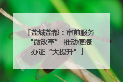 盐城盐都：审前服务“微改革” 推动便捷办证“大提升”