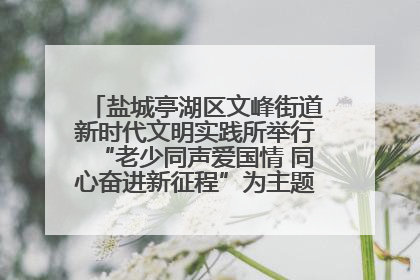 盐城亭湖区文峰街道新时代文明实践所举行“老少同声爱国情 同心奋进新征程”为主题的红色文化活动
