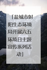盐城市射阳生态环境局开展六五环境日主题宣传系列活动
