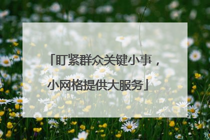 盯紧群众关键小事，小网格提供大服务