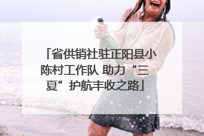 省供销社驻正阳县小陈村工作队 助力“三夏”护航丰收之路