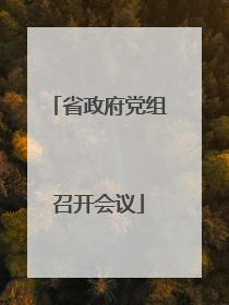 省政府党组召开会议