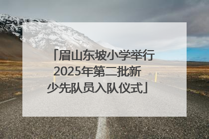 眉山东坡小学举行2025年第二批新少先队员入队仪式