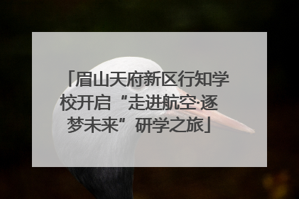 眉山天府新区行知学校开启“走进航空·逐梦未来”研学之旅