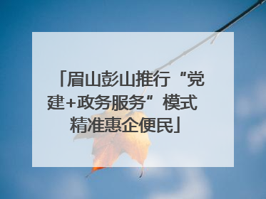 眉山彭山推行“党建+政务服务”模式 精准惠企便民