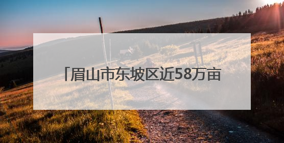 眉山市东坡区近58万亩水稻栽插面积超85%