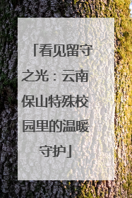 看见留守之光：云南保山特殊校园里的温暖守护