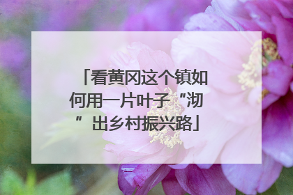 看黄冈这个镇如何用一片叶子“沏”出乡村振兴路