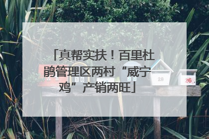 真帮实扶！百里杜鹃管理区两村“威宁鸡”产销两旺