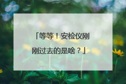 等等！安检仪刚刚过去的是啥？