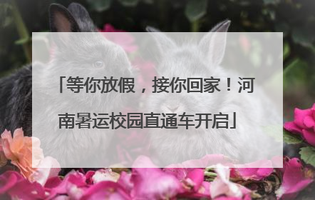 等你放假，接你回家！河南暑运校园直通车开启