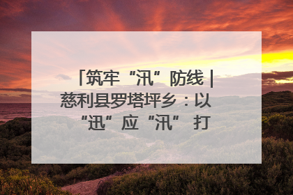 筑牢“汛”防线｜慈利县罗塔坪乡：以“迅”应“汛” 打赢暴雨防御战