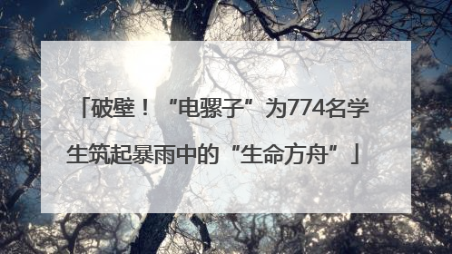 破壁！“电骡子”为774名学生筑起暴雨中的“生命方舟”