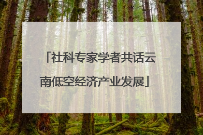 社科专家学者共话云南低空经济产业发展