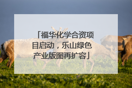 福华化学合资项目启动，乐山绿色产业版图再扩容