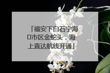 福安下白石宁海⇆市区金蛇头，海上直达航线开通