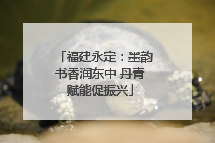 福建永定：墨韵书香润东中 丹青赋能促振兴