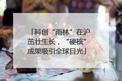 科创“雨林”在沪茁壮生长，“硬核”成果吸引全球目光
