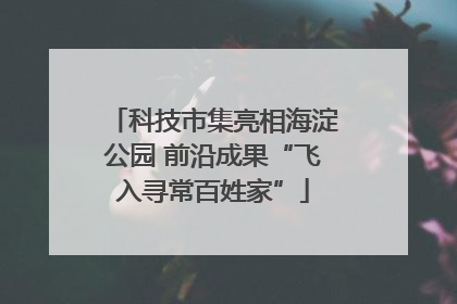 科技市集亮相海淀公园 前沿成果“飞入寻常百姓家”