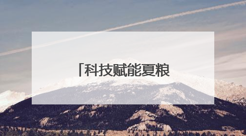 科技赋能夏粮收购提质增效