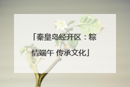 秦皇岛经开区：粽情端午 传承文化