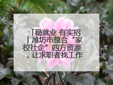 稳就业 有实招丨潍坊市整合“家校社企”四方资源，让求职者找工作不孤单