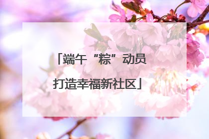 端午“粽”动员 打造幸福新社区